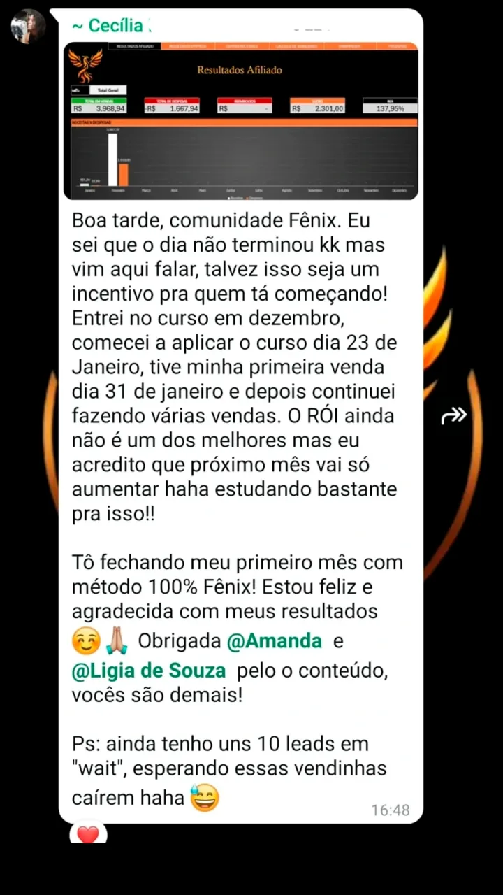 Resultado de aluno Fênix