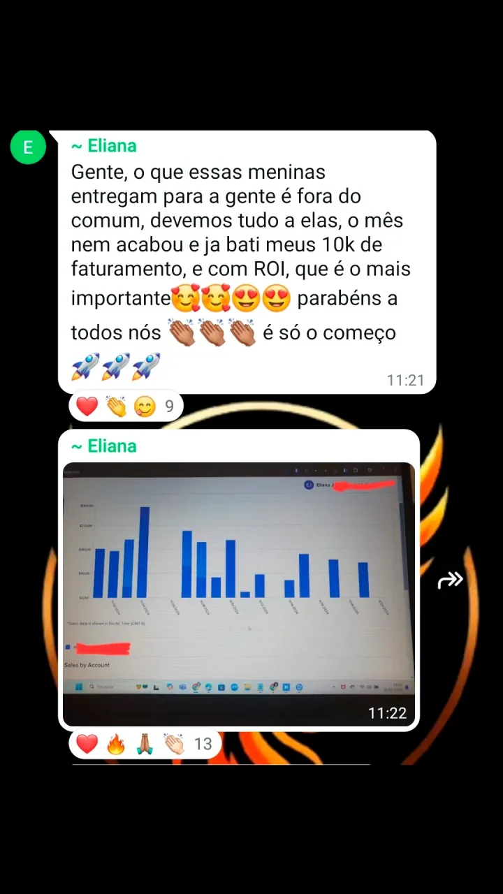 Resultado de aluno Fênix